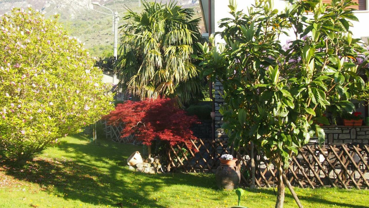 La Casa Dei Nonni Bussoleno Exterior foto